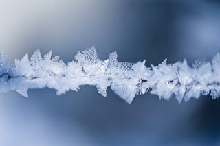 Différence entre sorbetière et turbine à glace, point par point