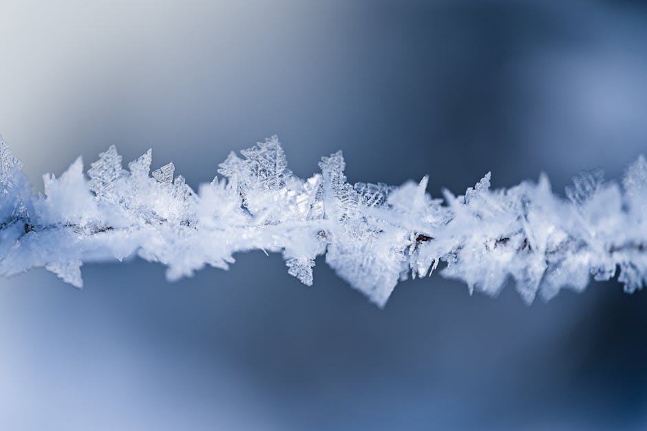 Sorbetière ou turbine à glace : quelle différence ?