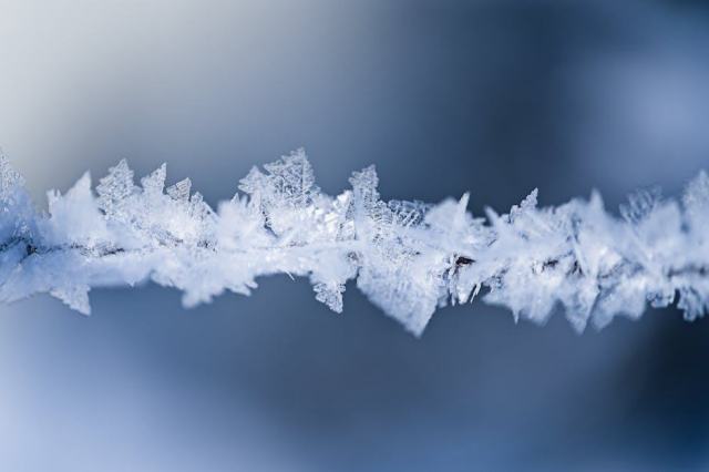 Sorbetière ou turbine à glace : notre guide pour bien choisir